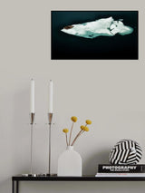 I am the walrus Poster och Canvastavla
