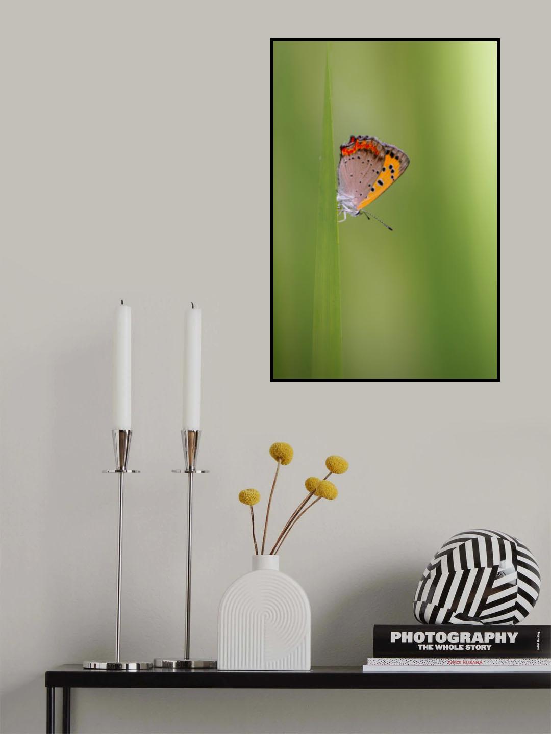 Butterfly Poster och Canvastavla