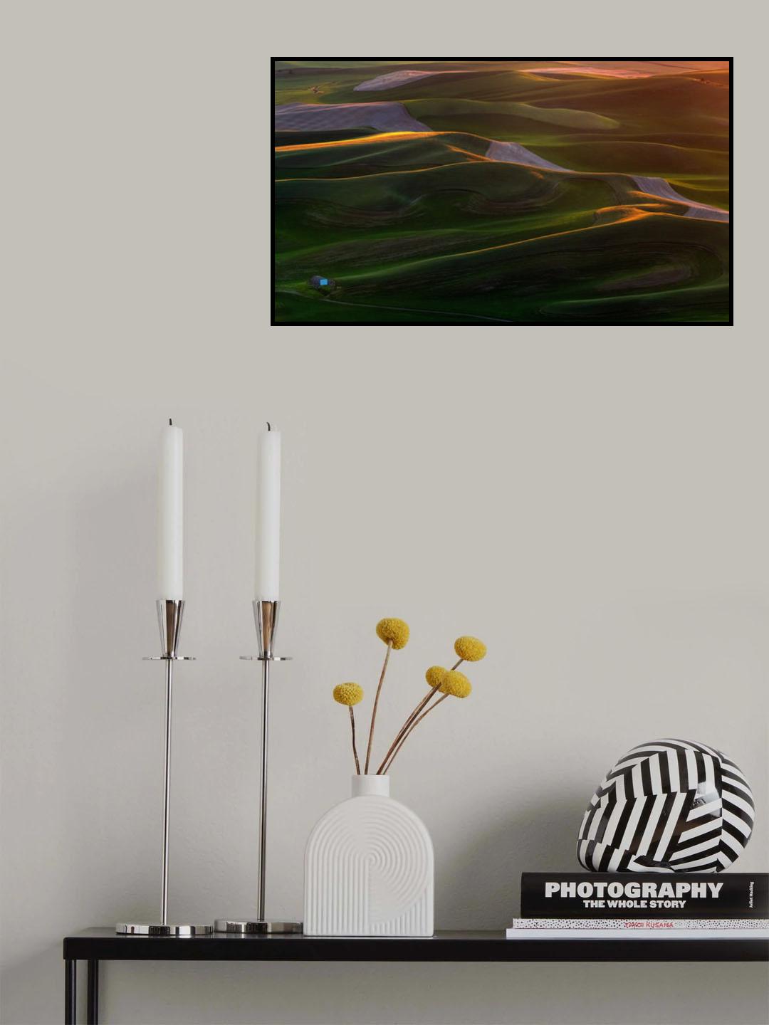 In the morning light Poster och Canvastavla