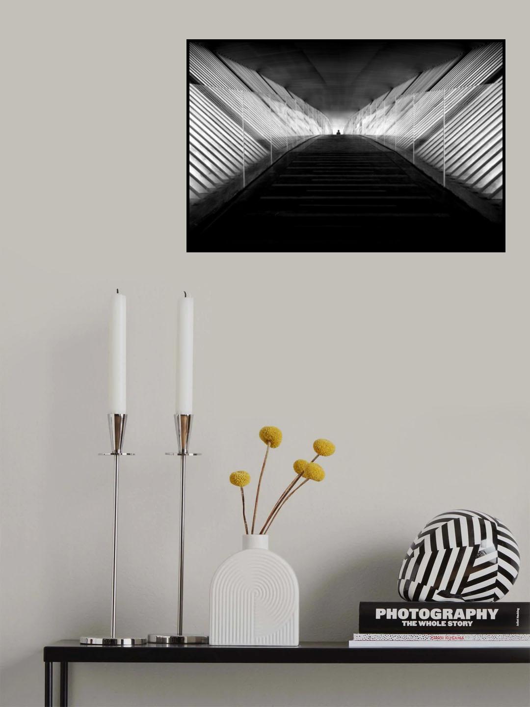 Through the wing of light Poster och Canvastavla