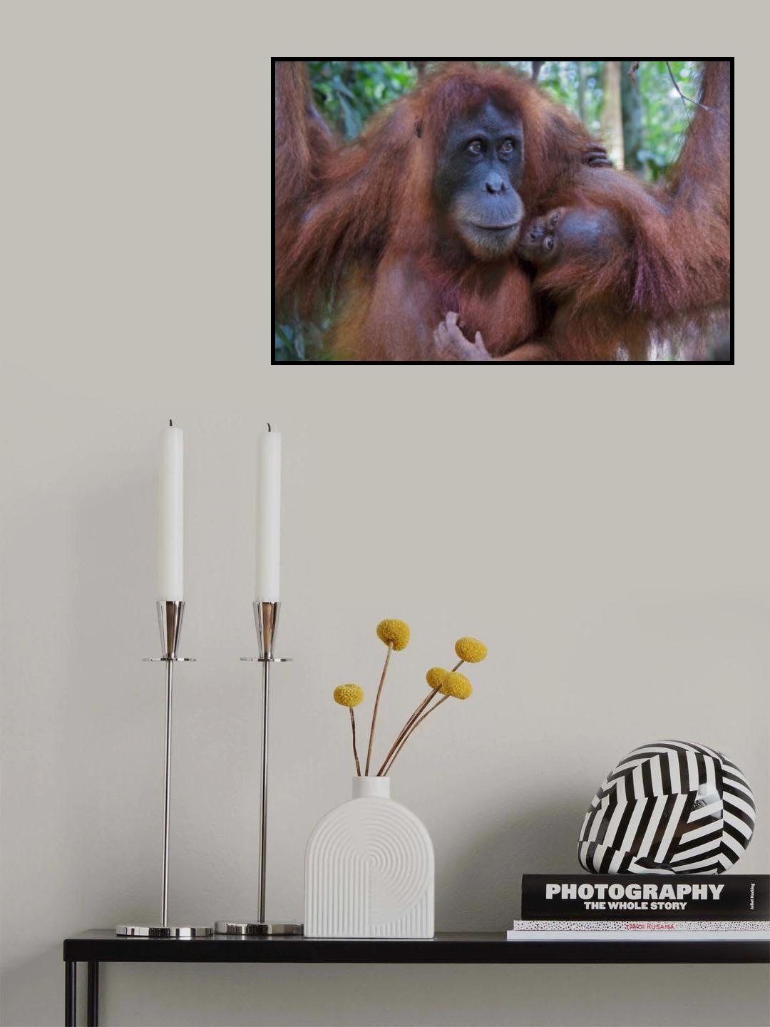 Love in the family Poster och Canvastavla