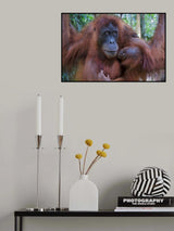 Love in the family Poster och Canvastavla