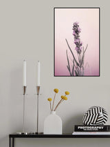 Pastel Lavender Poster och Canvastavla