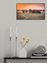 Amboseli Morning Stroll to Starbucks Poster och Canvastavla