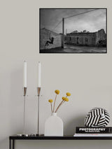 The swing Poster och Canvastavla
