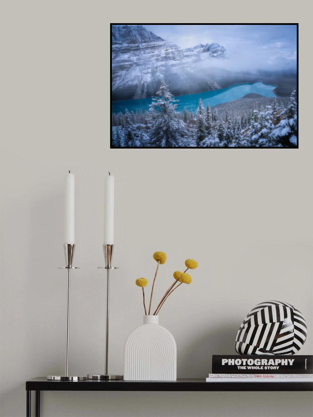 Winter Peyto Lake Poster och Canvastavla