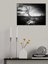 Broken Heart Poster och Canvastavla