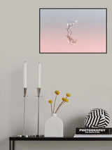 Little egret Poster och Canvastavla