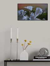 The big flower Poster och Canvastavla