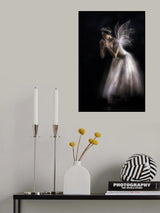 The fairy queen... Poster och Canvastavla