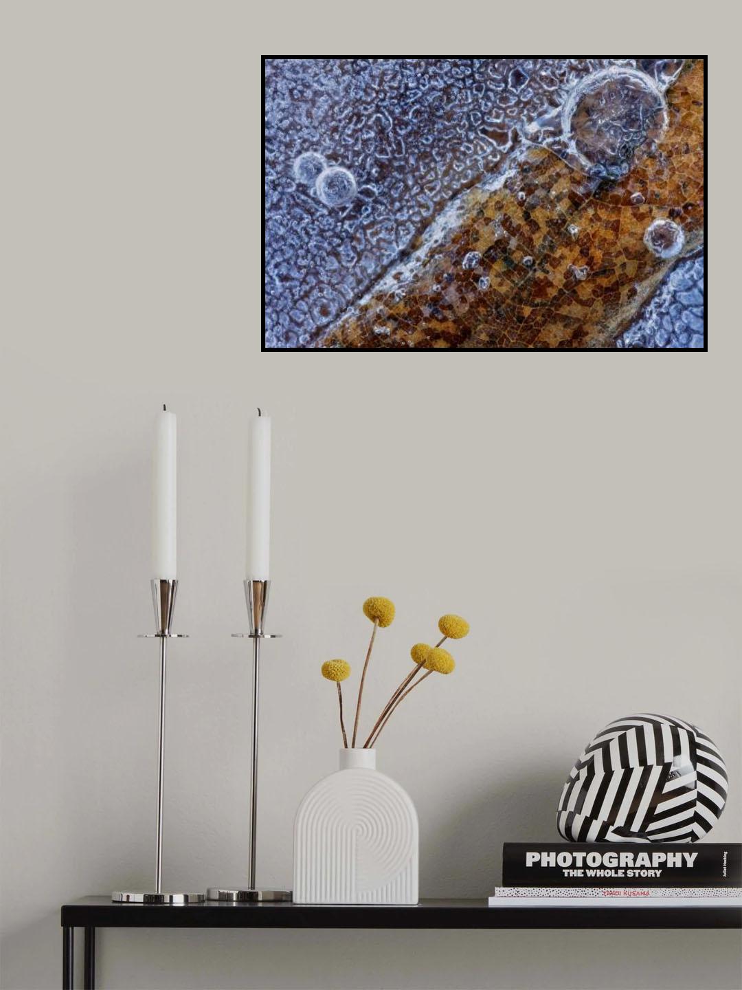 Mosaic in the ice Poster och Canvastavla