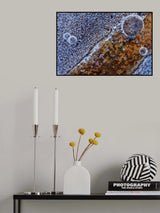 Mosaic in the ice Poster och Canvastavla