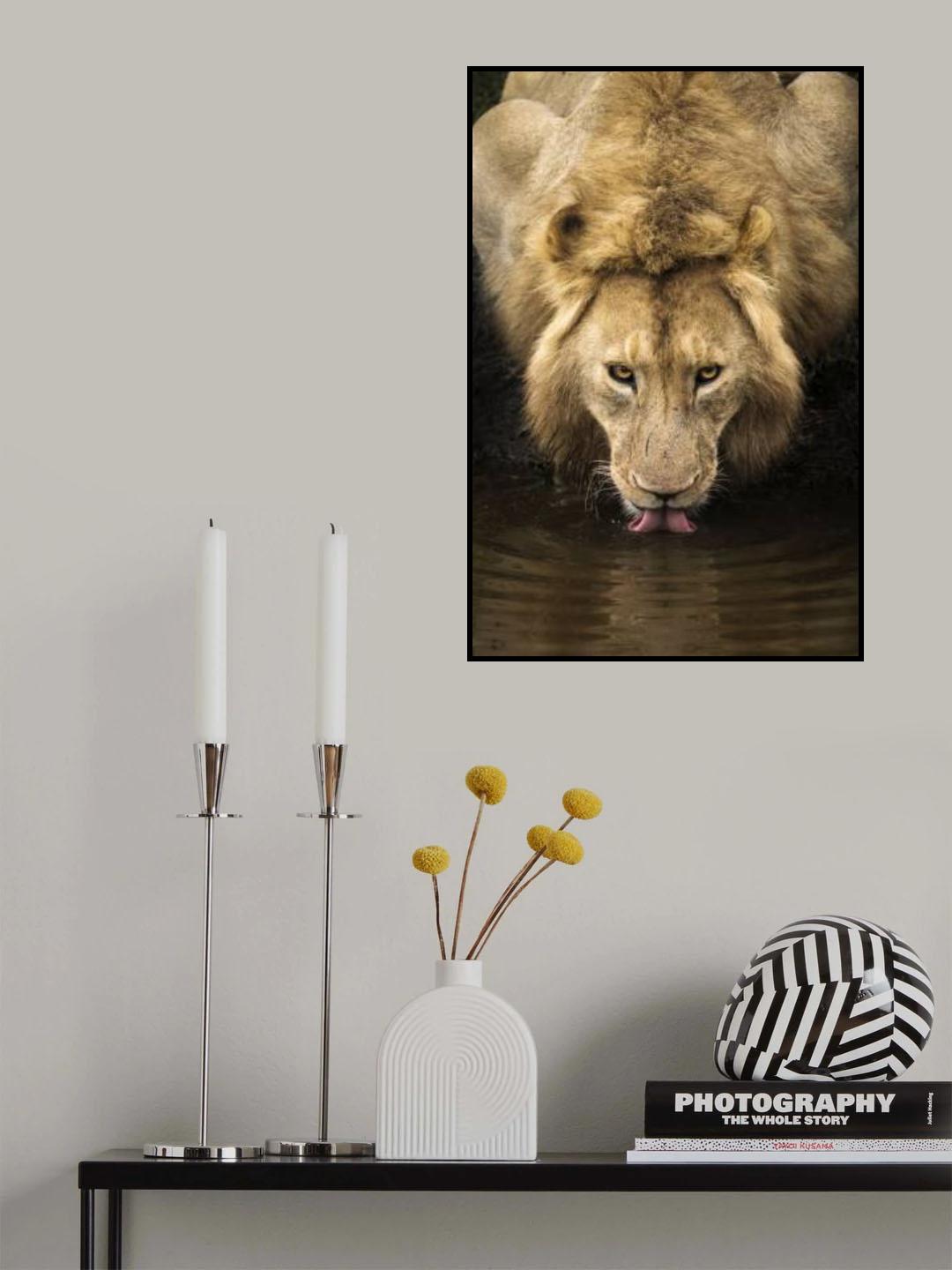 The Lion Poster och Canvastavla