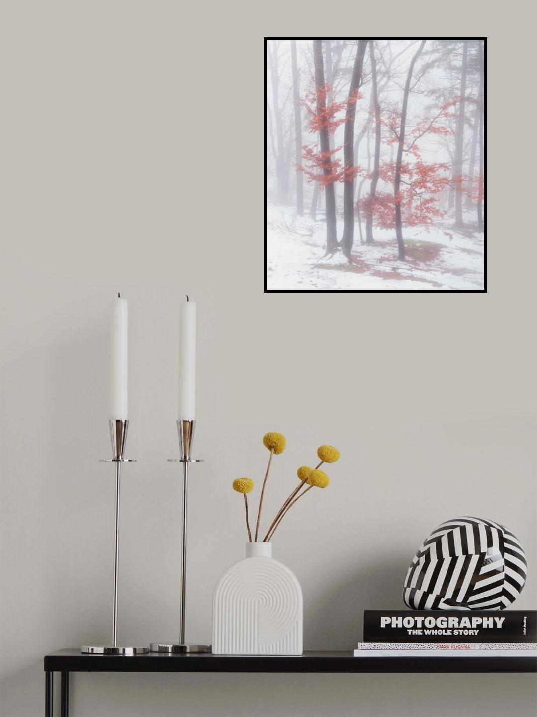 Autumnal snow Poster och Canvastavla