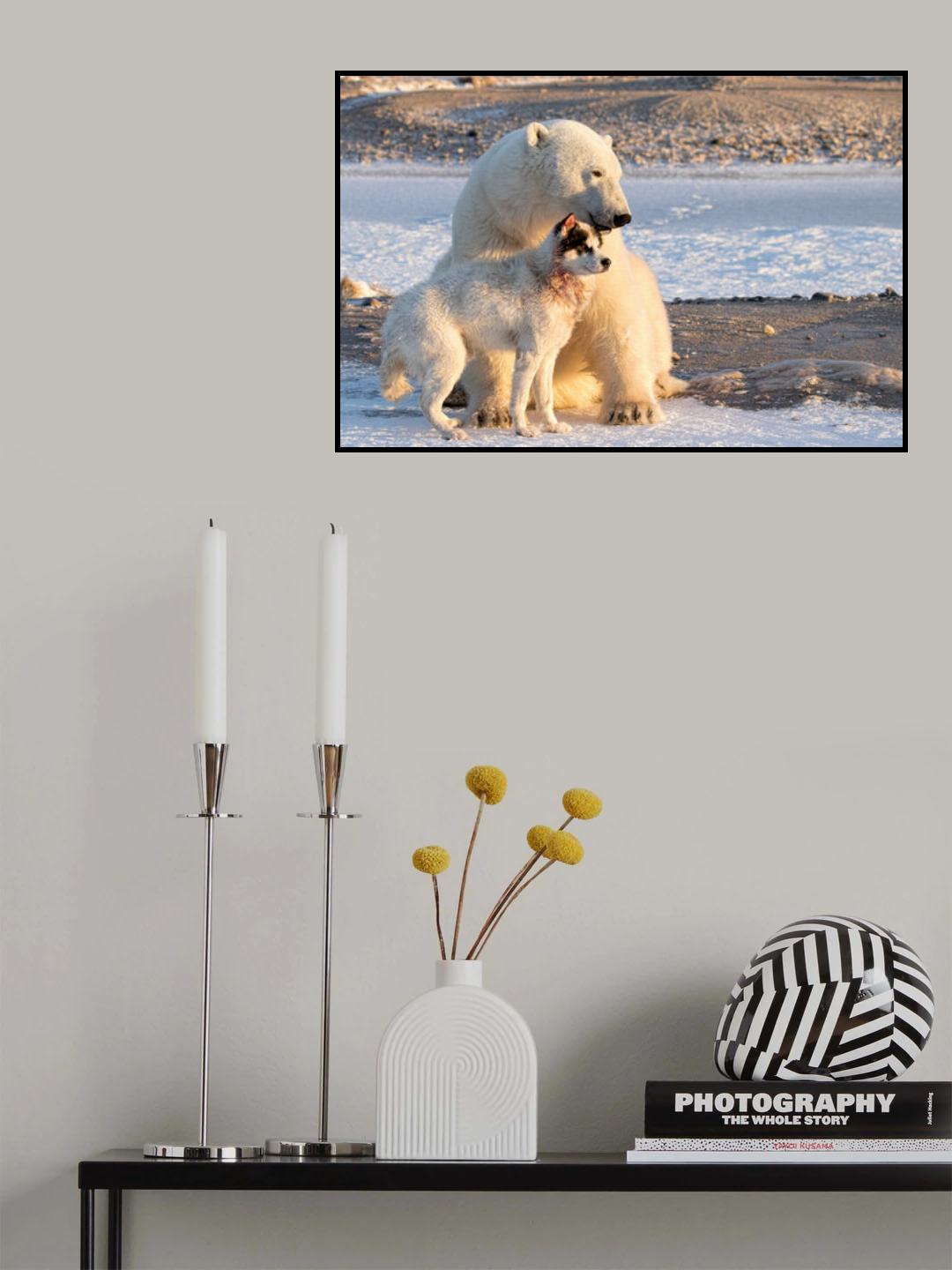 Same Profile Different Size Poster och Canvastavla