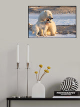 Same Profile Different Size Poster och Canvastavla