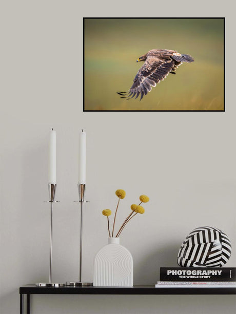 Prairie wings Poster och Canvastavla