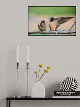 Poster och Canvastavla