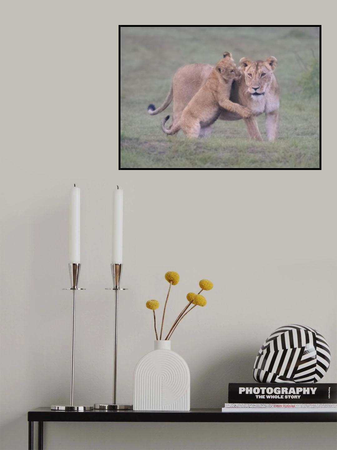 Mother and cub Poster och Canvastavla