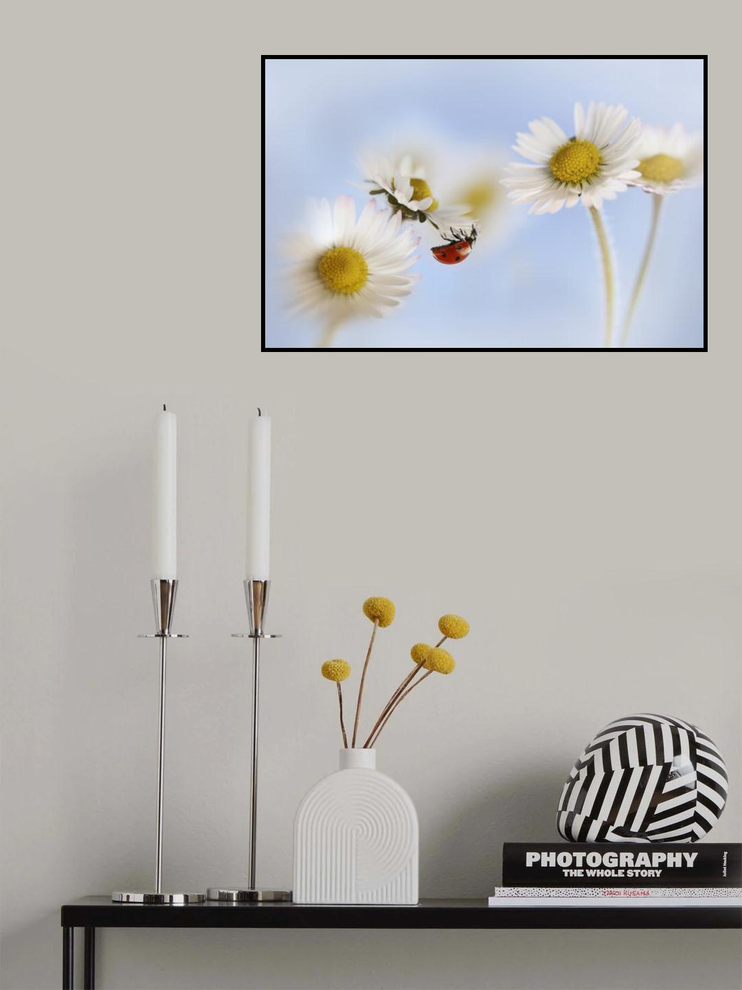Ladybird and daisies Poster och Canvastavla