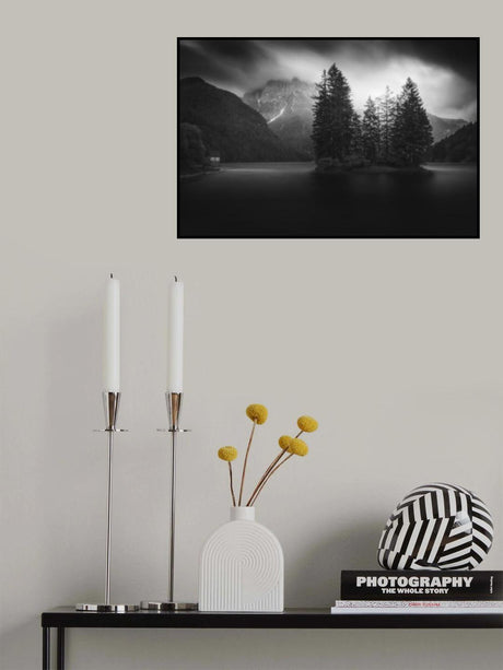 Paranoid Poster och Canvastavla