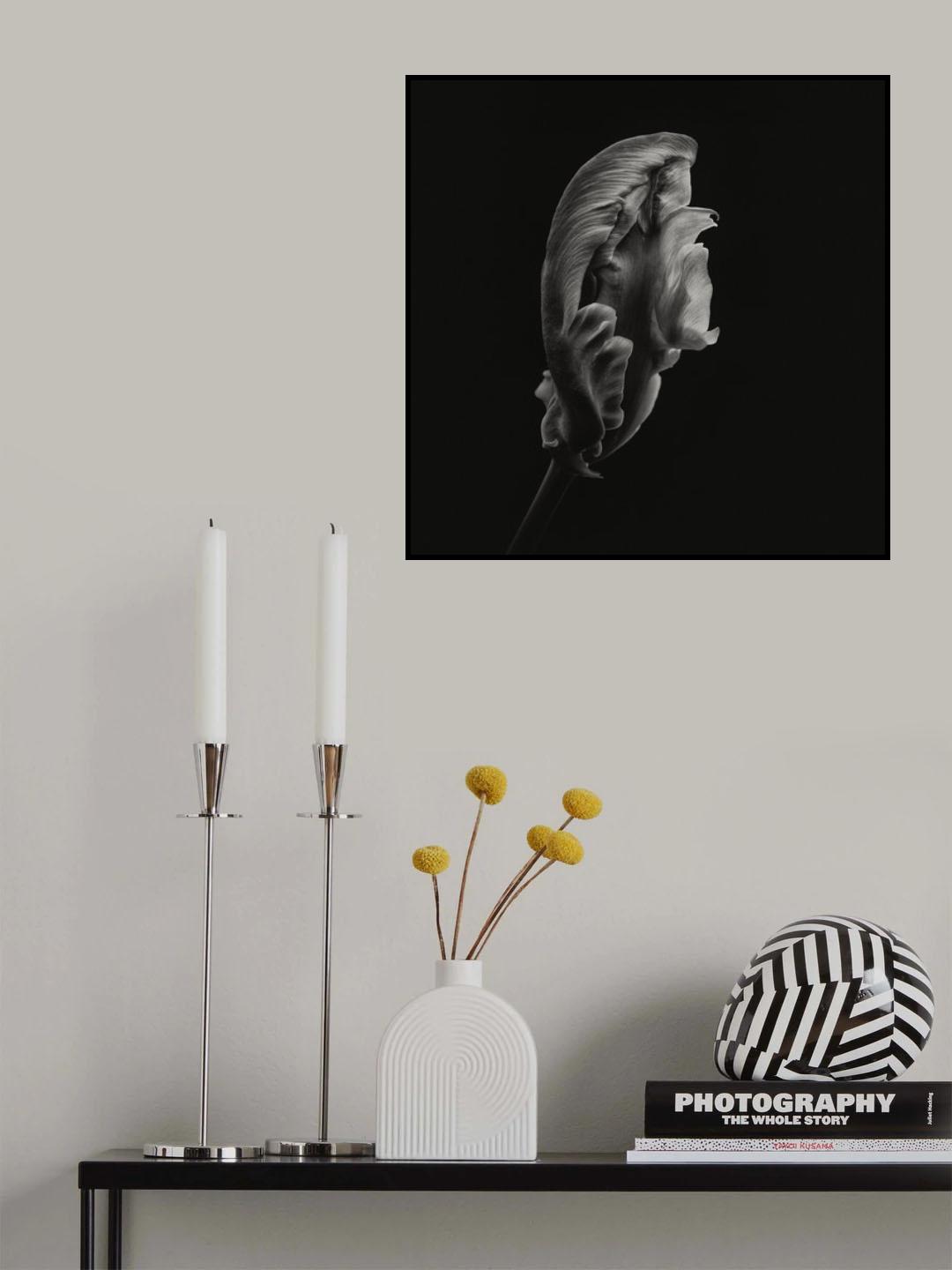 Trying to unfold Poster och Canvastavla