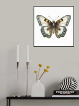 Butterfly 12 Poster och Canvastavla
