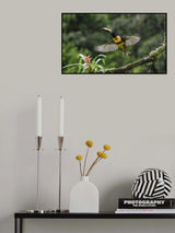 Launch! Poster och Canvastavla