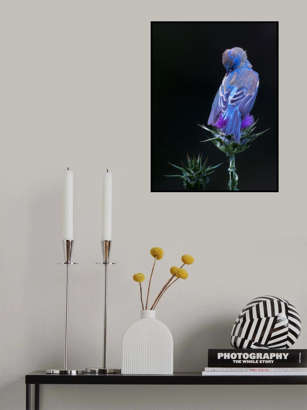 閉月羞花 Poster och Canvastavla