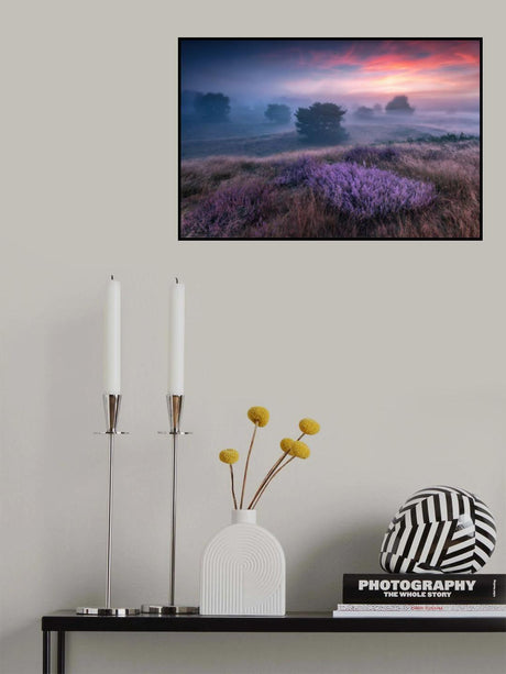 &quot;the colors of heather&quot; Poster och Canvastavla