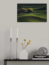 Palouse Field in May Poster och Canvastavla