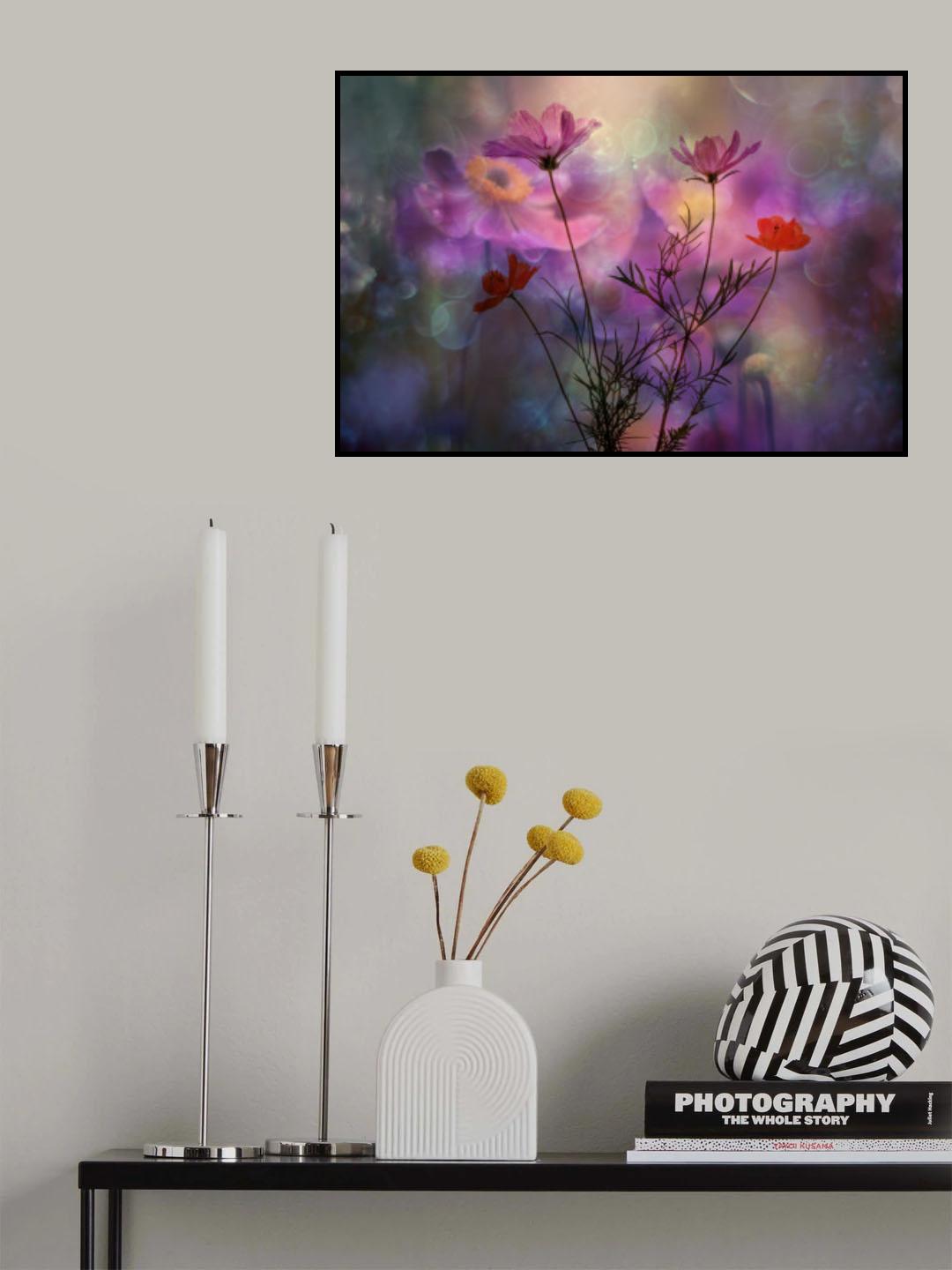 Cosmea Poster och Canvastavla