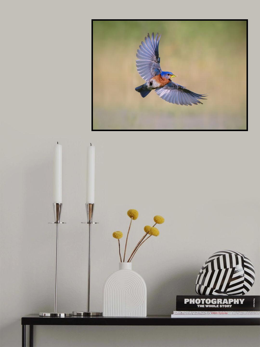 Poster och Canvastavla