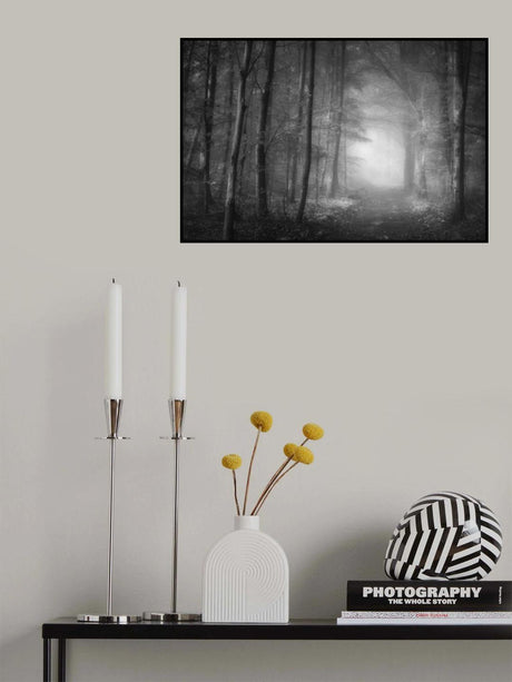 Into the woods Poster och Canvastavla