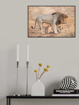Father and puppies Poster och Canvastavla