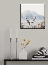 Shy Deer Poster och Canvastavla