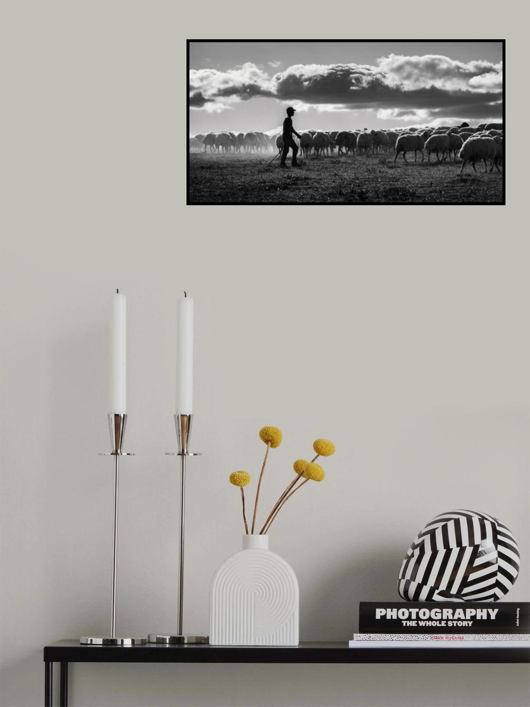 Shepherd Poster och Canvastavla