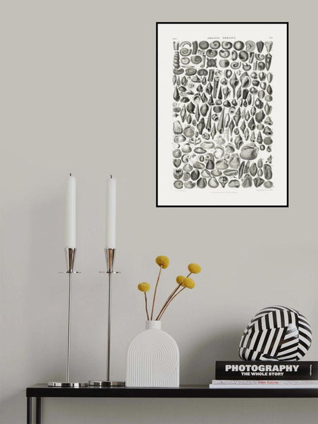 Sealife II Poster och Canvastavla