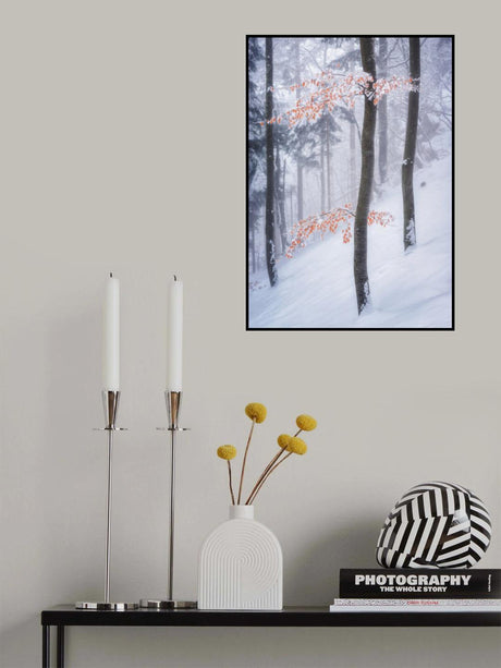 In the winter forest Poster och Canvastavla