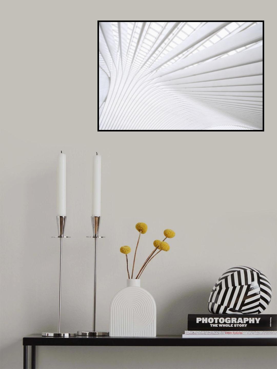 Curvature Poster och Canvastavla
