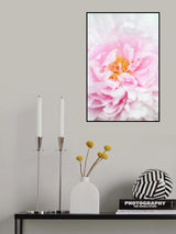 Peony_6 Poster och Canvastavla