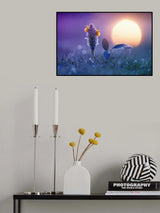 Snail Waiting for Sunrise Poster och Canvastavla