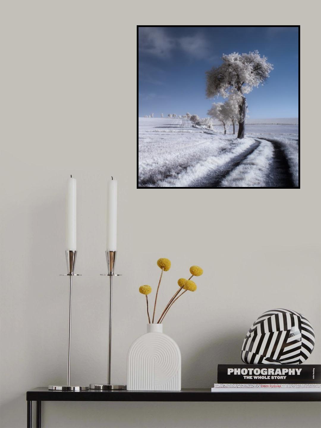 winter in summer Poster och Canvastavla