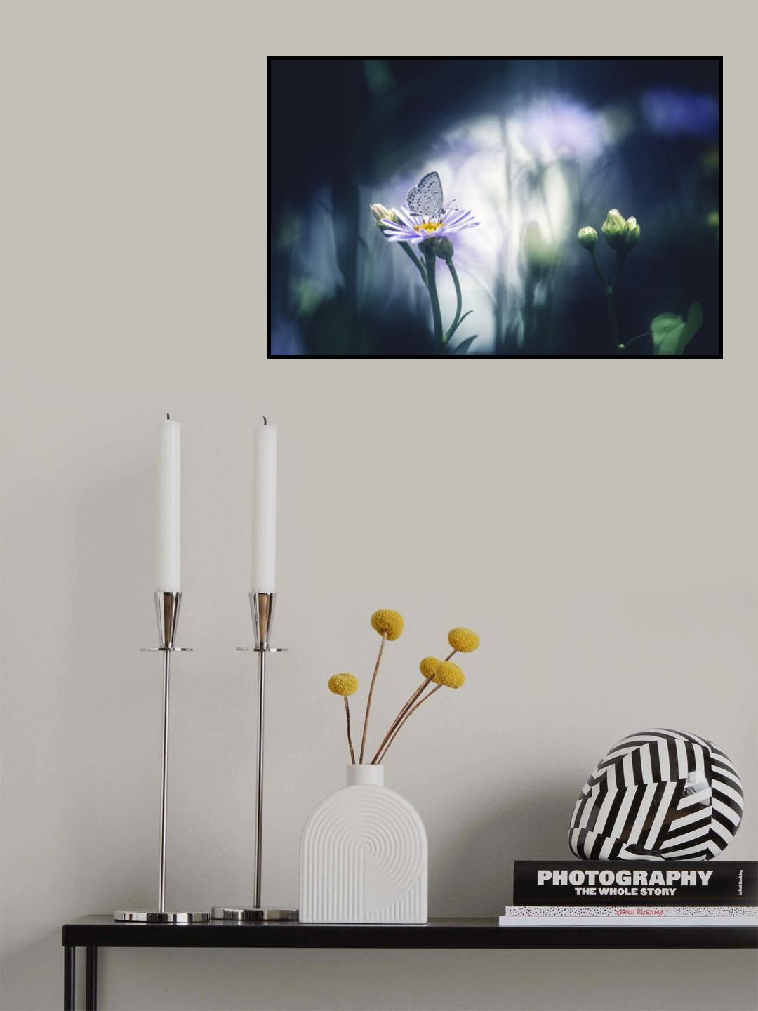 Light and darkness Poster och Canvastavla