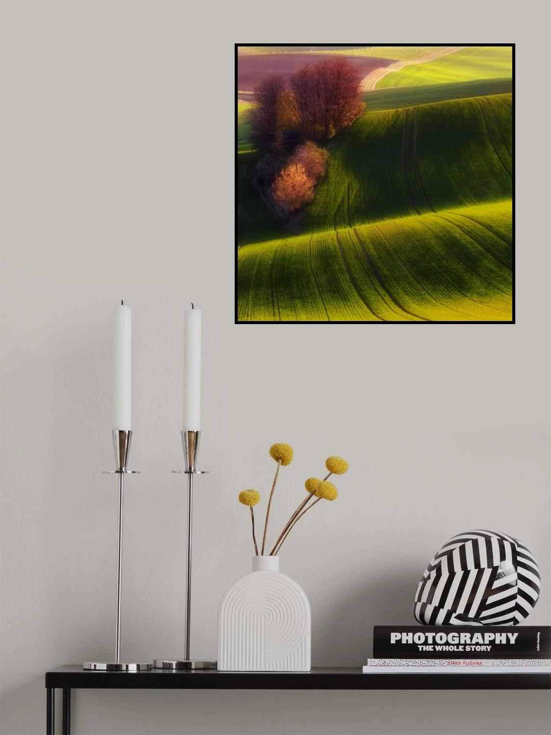 Green fields Poster och Canvastavla