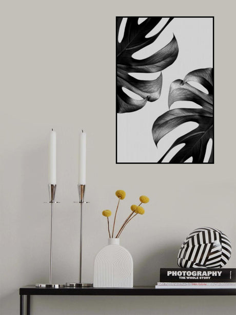 Monochrome Mostera Poster Poster och Canvastavla