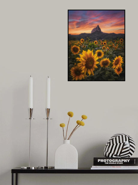 Flower garden Poster och Canvastavla