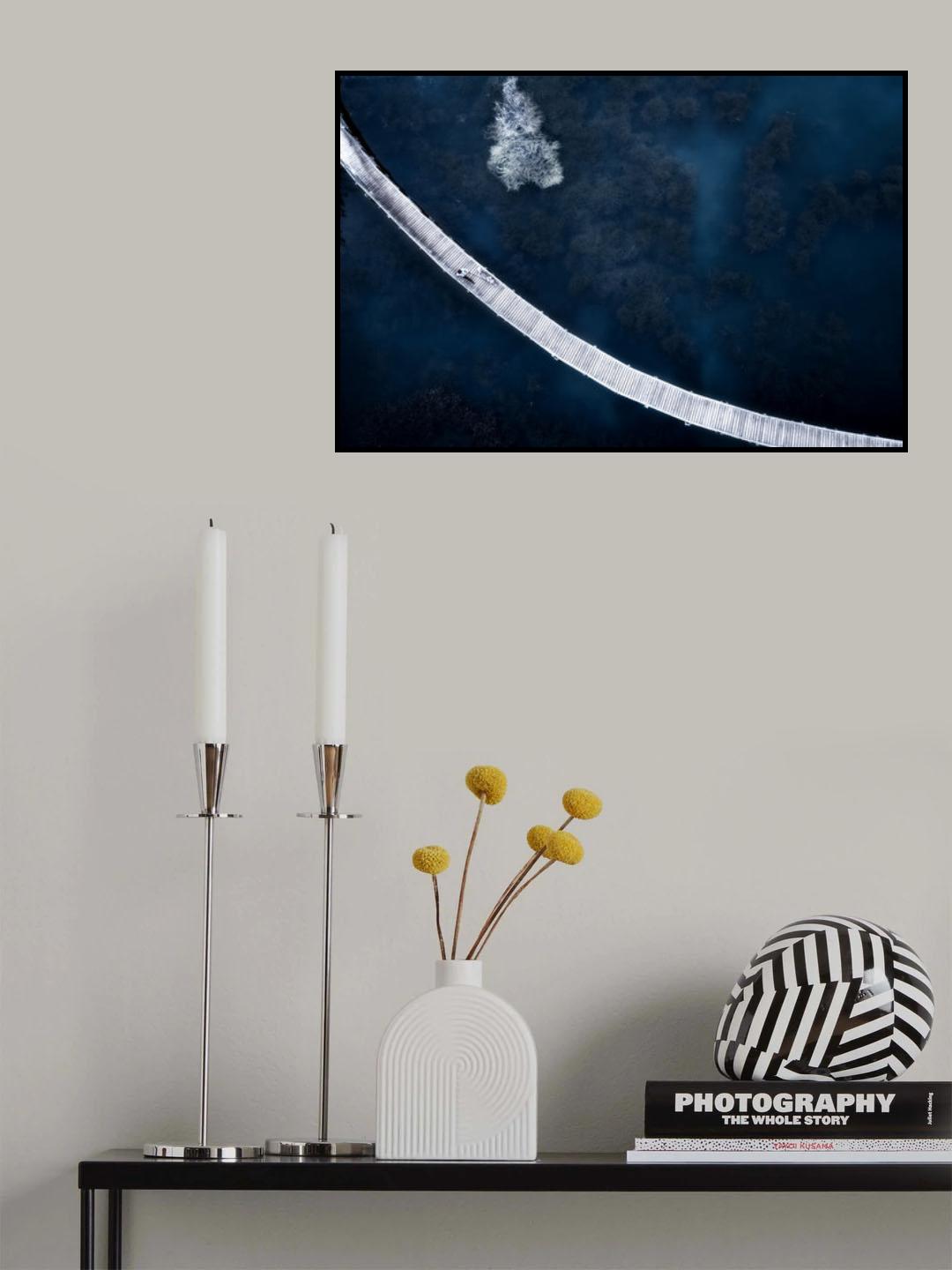 frozen world Poster och Canvastavla