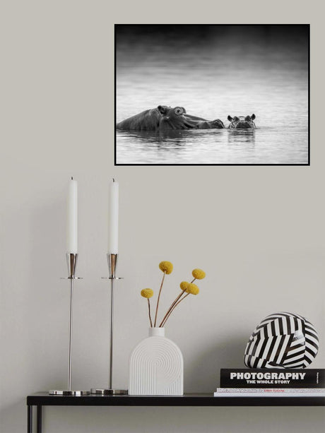 Eye level Poster och Canvastavla