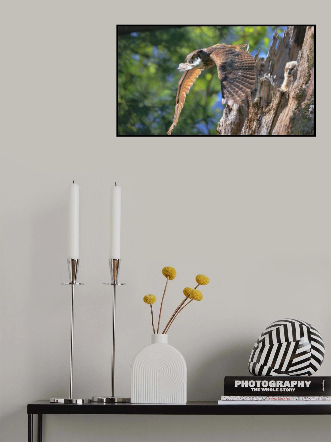 Great Horned Owl Poster och Canvastavla